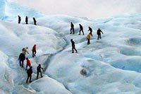 calafate turismo