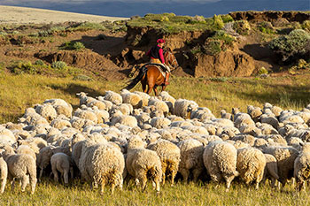 Estancias en Calafate, día de campo