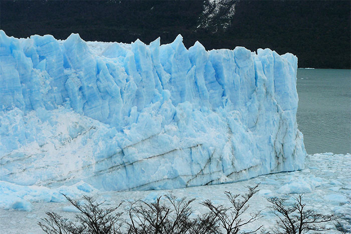 paquetes calafate