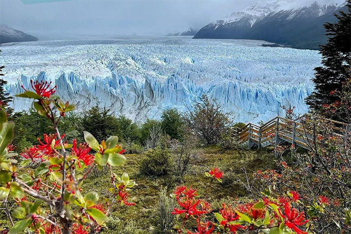 verano calafate